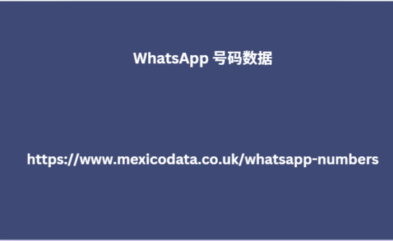 WhatsApp 号码数据