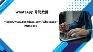 WhatsApp 号码数据