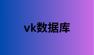 vk数据库 