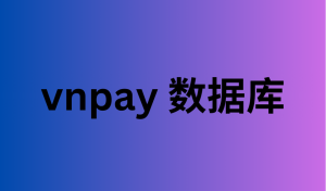 vnpay 数据库 